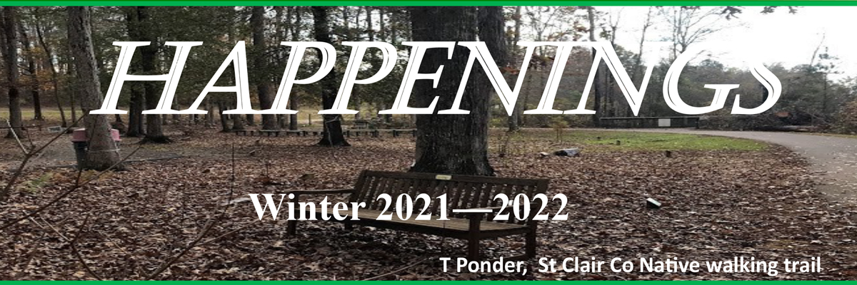 Happenings Newsletter 2021