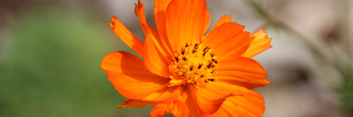 AMGA Conference 2022