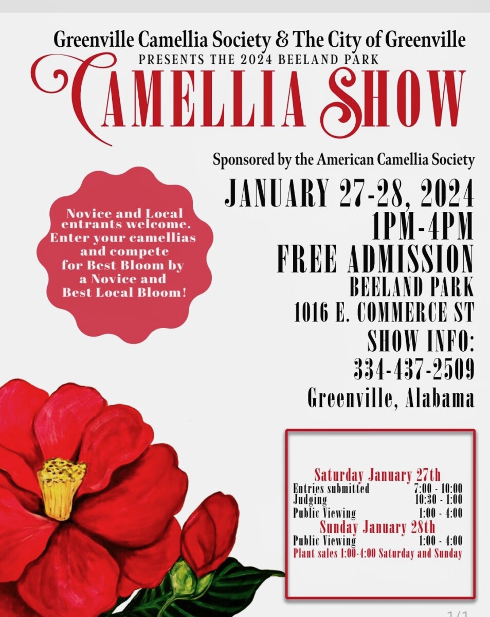 2024 Beeline Park Camellia Show