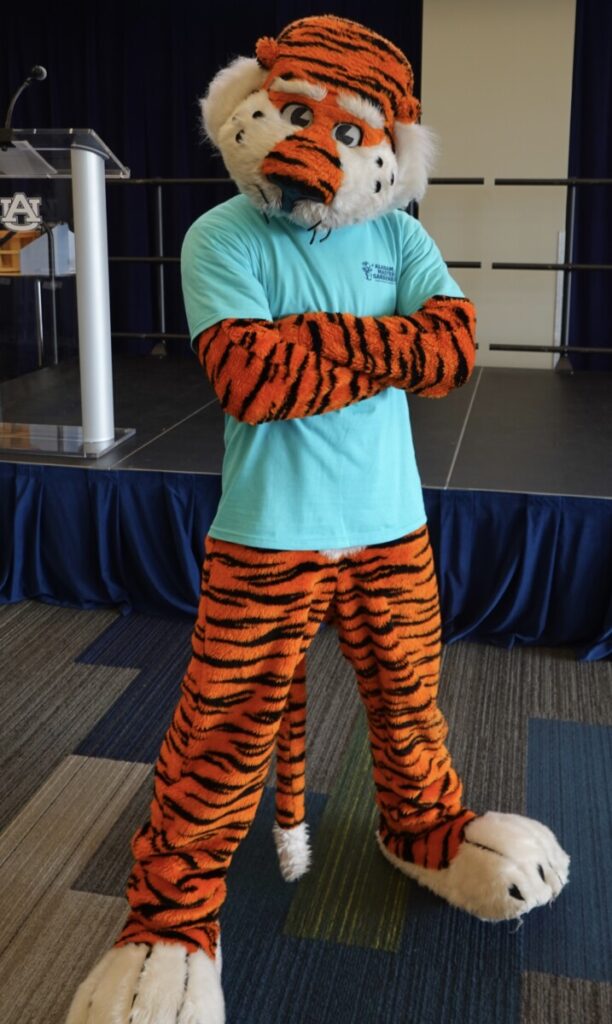 Aubrie, the Auburn Tiger mascot, poses with his arms crossed and a spread legged stance in a turquoise blue AMGA tee.