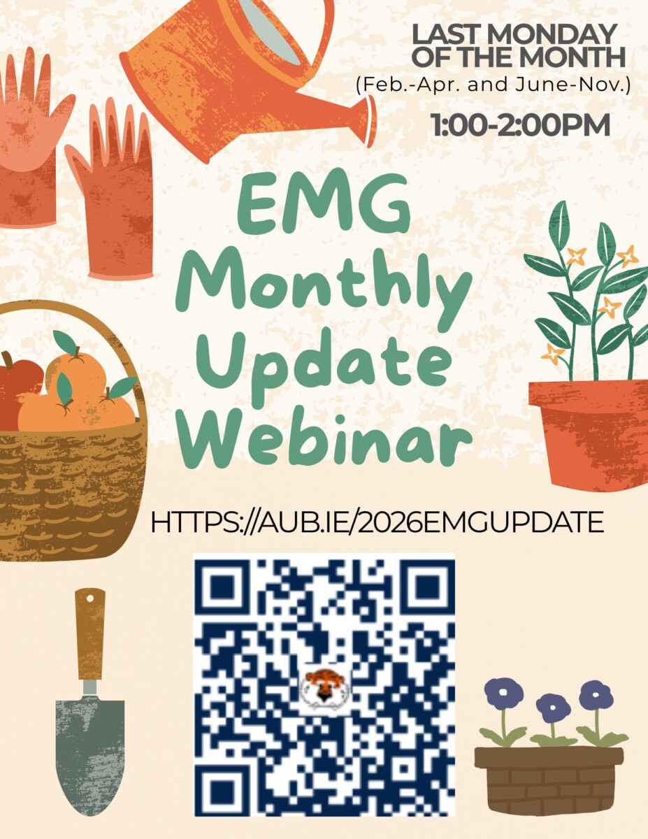 EMG Monthly Update Webinar Aug 31