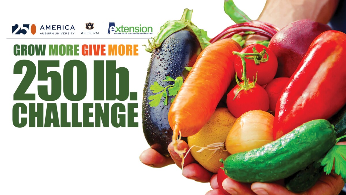 Celebrate America’s 250th Anniversary with 250 lbs of Grow More Give More: Our Challenge